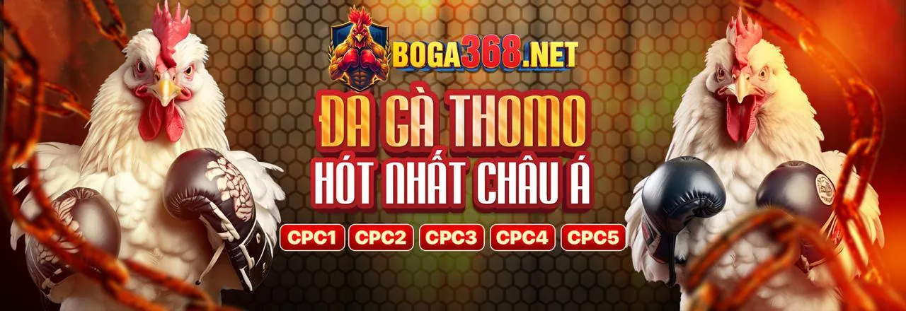 Sân vận động với màn hình tỷ số 88bi