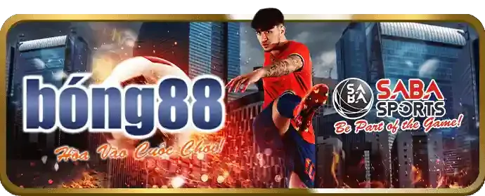 Kiểm soát quyền riêng tư dữ liệu tại 88bi